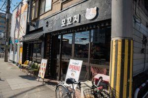 TOAST CAFE MOKKOJI (모꼬지)