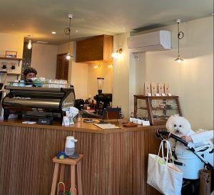 LEPO COFFEE STAND
