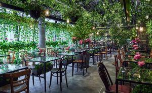 青山フラワーマーケット TEAHOUSE 南青山本店